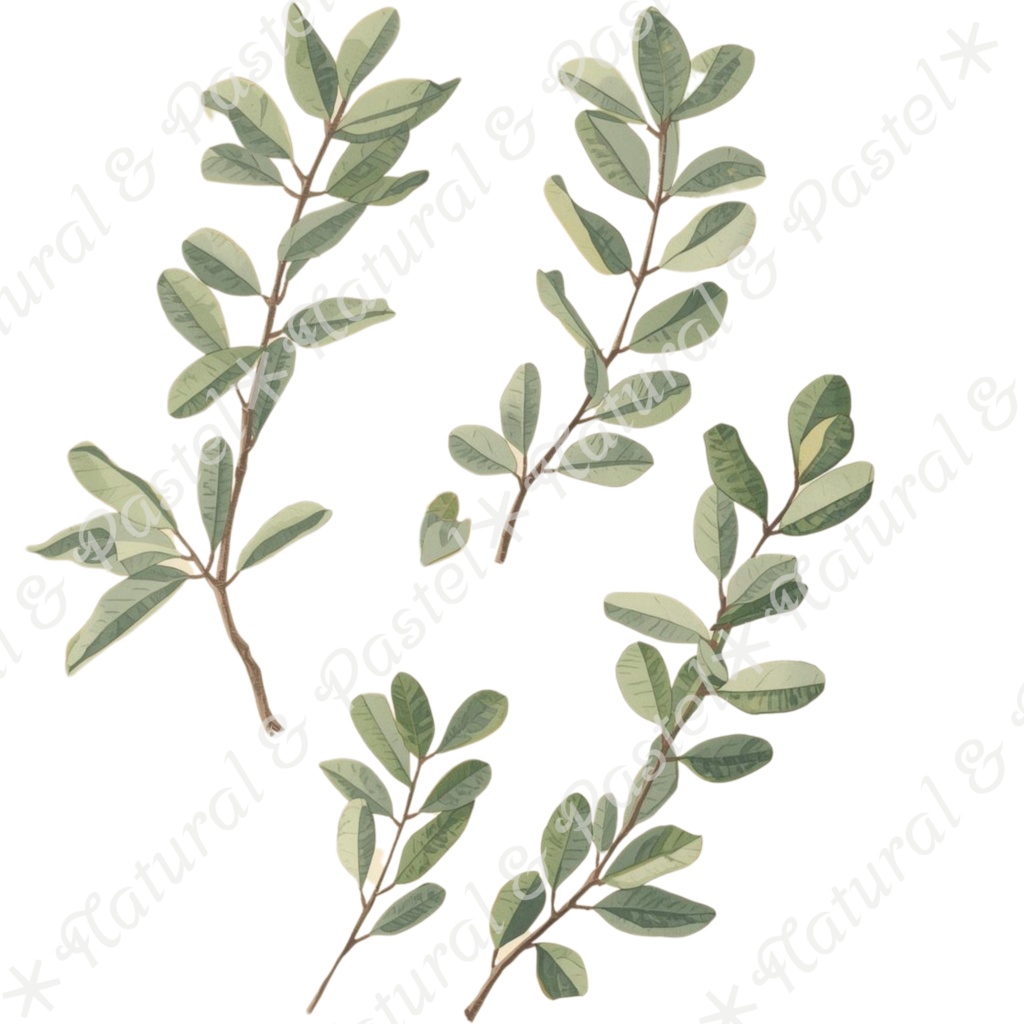 🌿【Vintage Botanicals】水彩クリップアート * 28点セット(PNG背景透過)