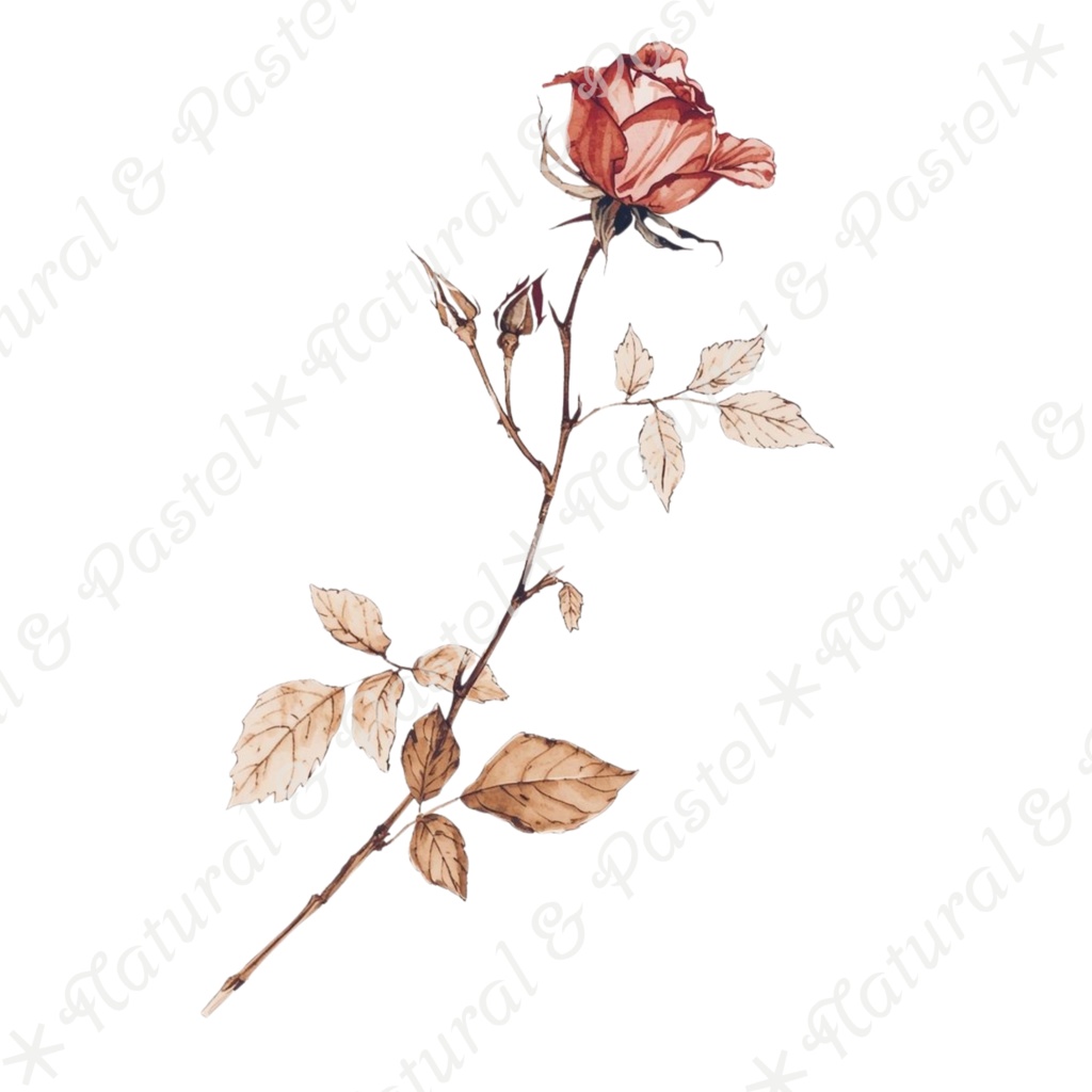 🌿【Vintage Botanicals】水彩クリップアート * 28点セット(PNG背景透過)