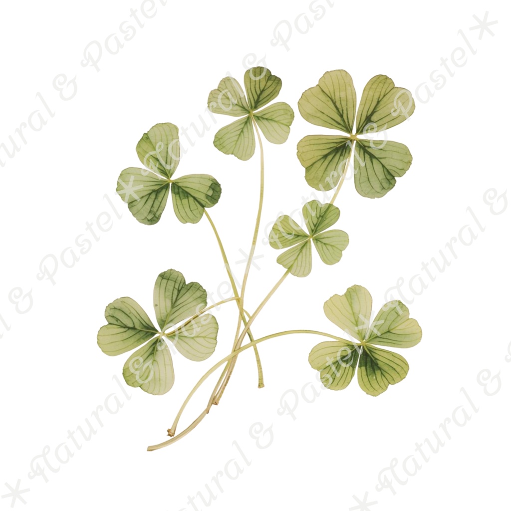 🌿【Vintage Botanicals】水彩クリップアート * 28点セット(PNG背景透過)