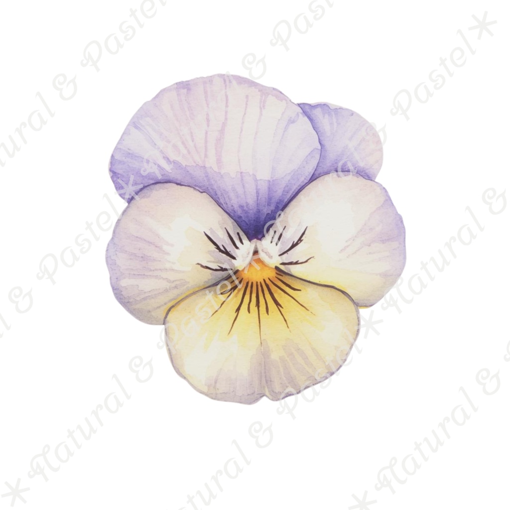 🌿【Vintage Botanicals】水彩クリップアート * 28点セット(PNG背景透過)