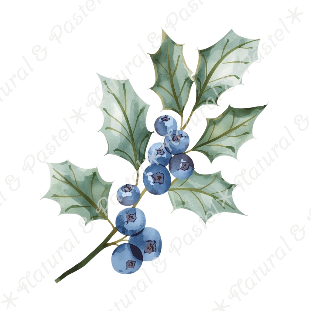 🎄【Blue Christmas Collection】青い冬のクリスマス * 水彩クリップアート 30点セット(PNG背景透過)