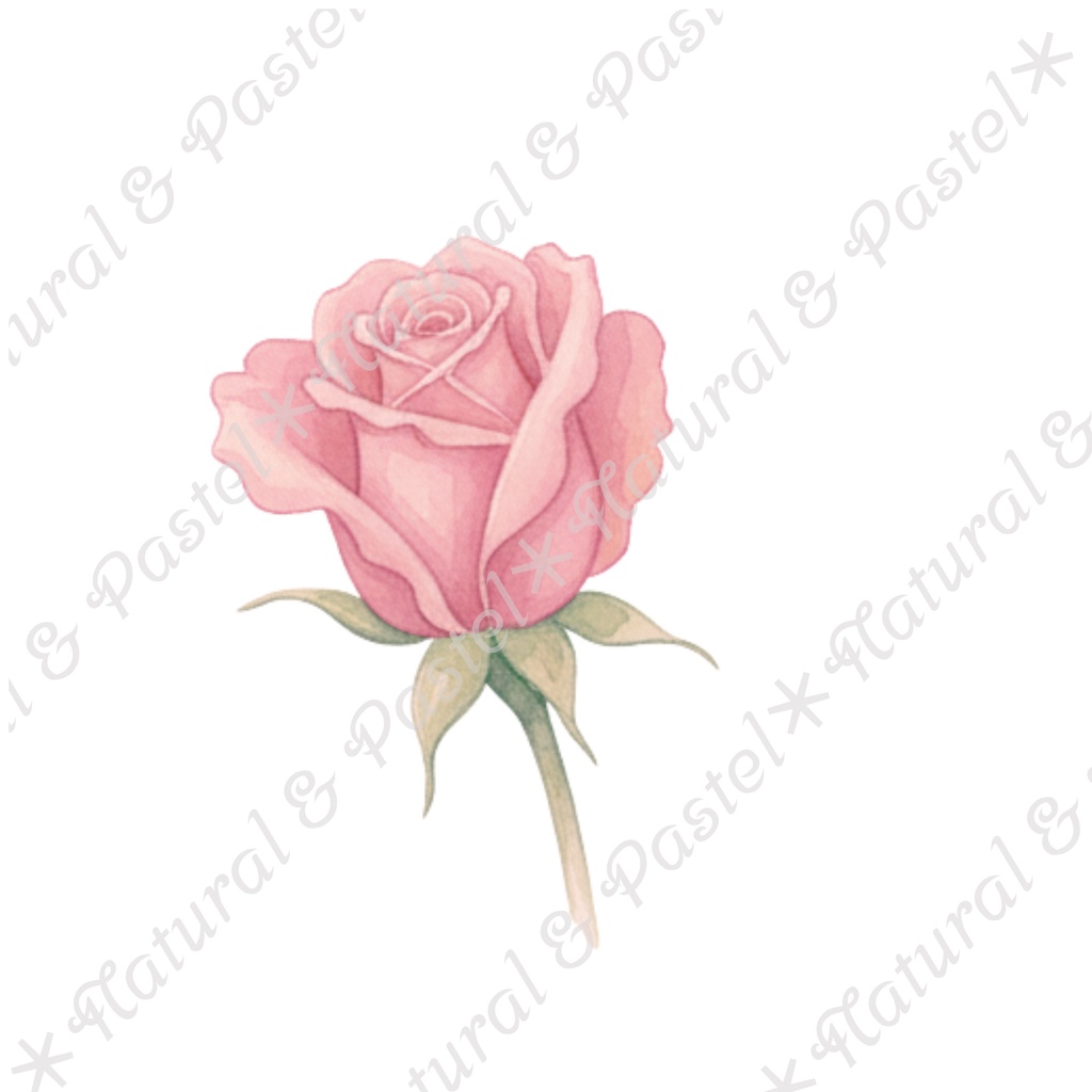 🦢 Pink Ballet Dreams Set|可憐なピンクのバレエ衣装コレクション * トウシューズ・ティアラ・花束入り(PNG)