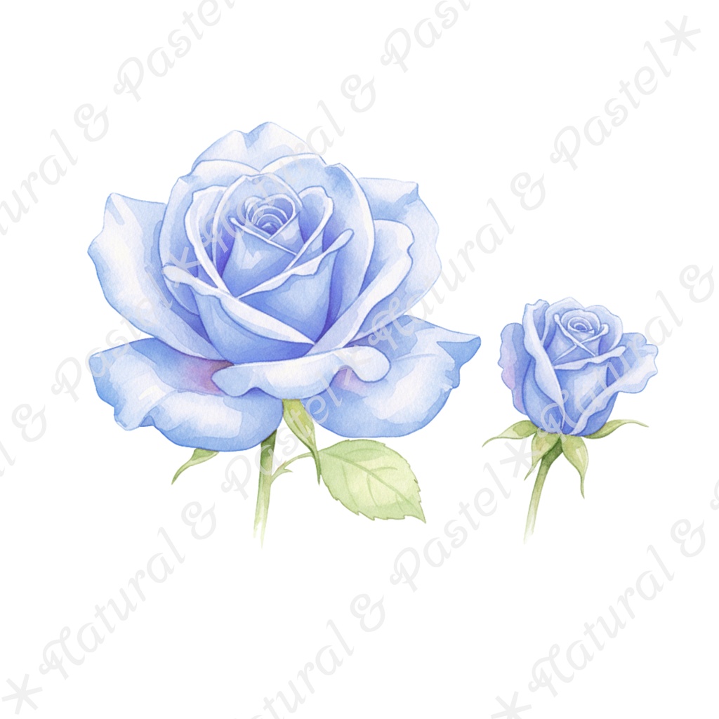 🦢 Blue Ballet Elegance Set|凛とした青のバレエ衣装コレクション*トウシューズ・ティアラ・花束入り(PNG)