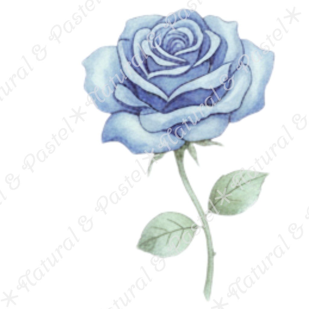 🦢 Blue Ballet Elegance Set|凛とした青のバレエ衣装コレクション*トウシューズ・ティアラ・花束入り(PNG)