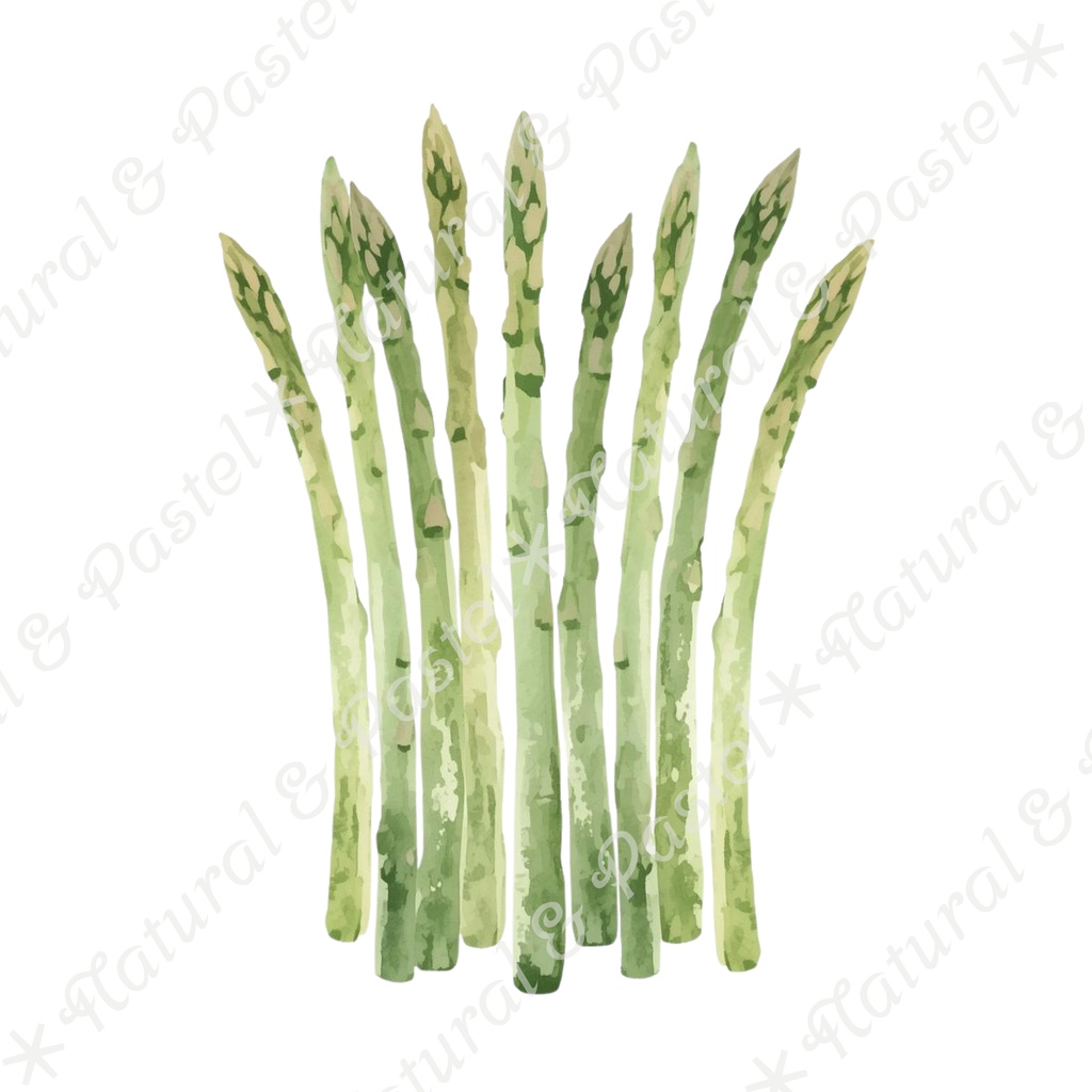 🥕 Watercolor Vegetables Clipart 20 / 水彩野菜イラスト*20点セット(PNG背景透過)