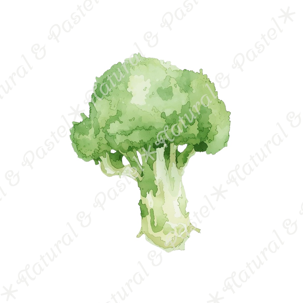 🥕 Watercolor Vegetables Clipart 20 / 水彩野菜イラスト*20点セット(PNG背景透過)
