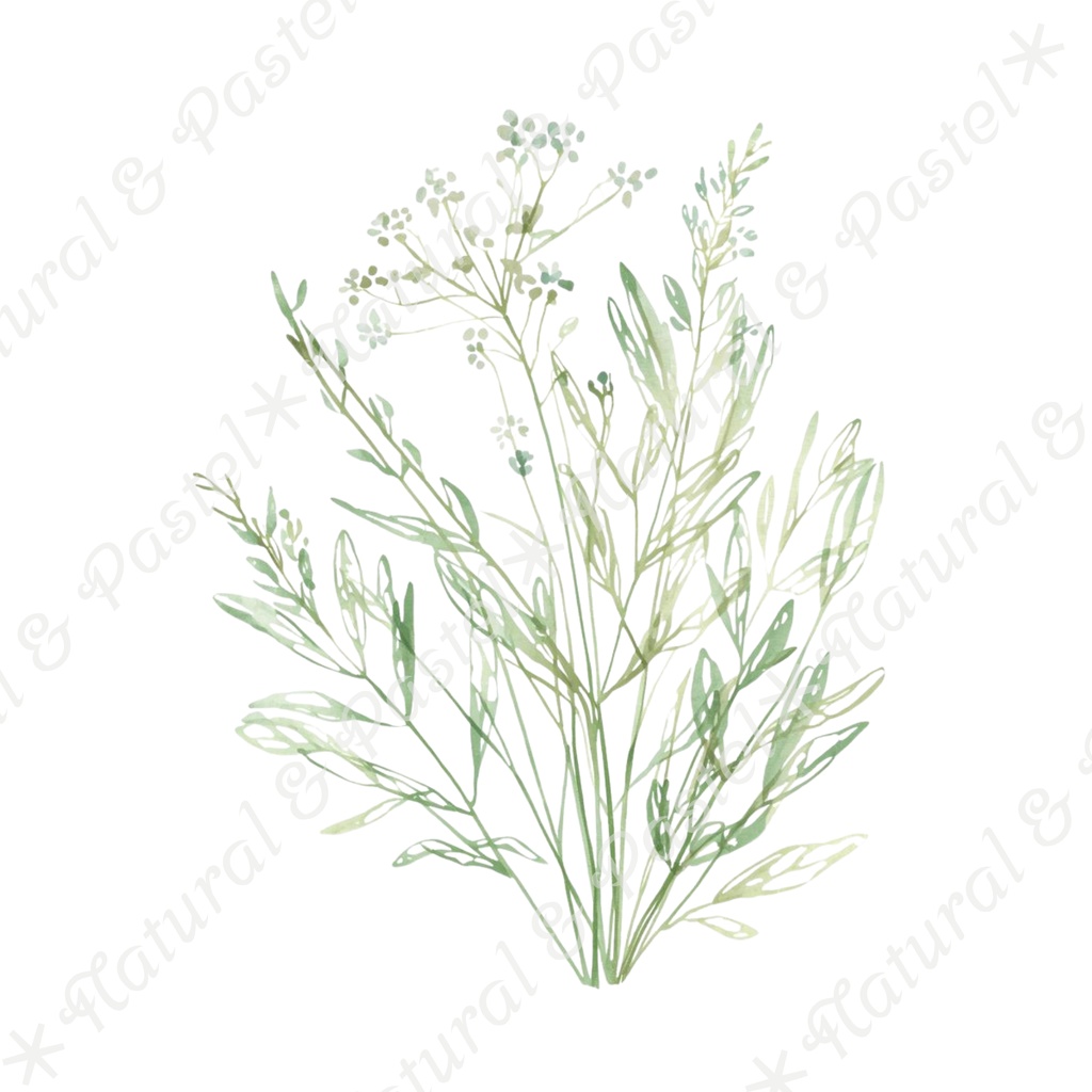 🥕 Watercolor Vegetables Clipart 20 / 水彩野菜イラスト*20点セット(PNG背景透過)