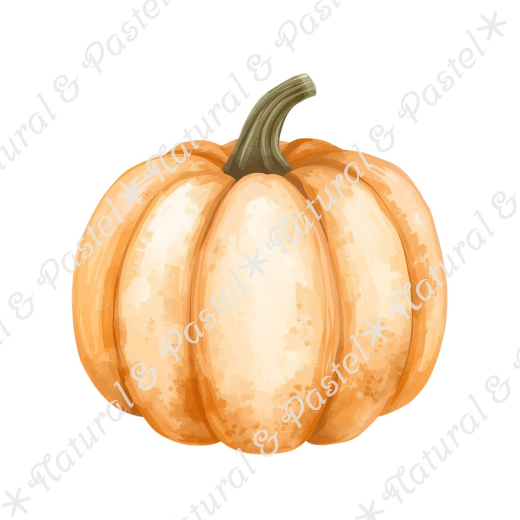 🥕 Watercolor Vegetables Clipart 20 / 水彩野菜イラスト*20点セット(PNG背景透過)