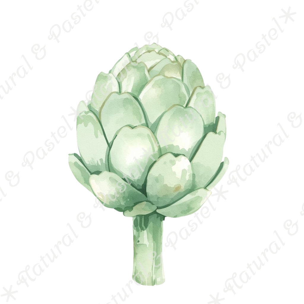 🥕 Watercolor Vegetables Clipart 20 / 水彩野菜イラスト*20点セット(PNG背景透過)