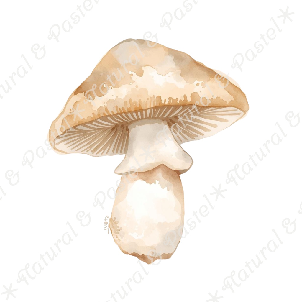 🥕 Watercolor Vegetables Clipart 20 / 水彩野菜イラスト*20点セット(PNG背景透過)