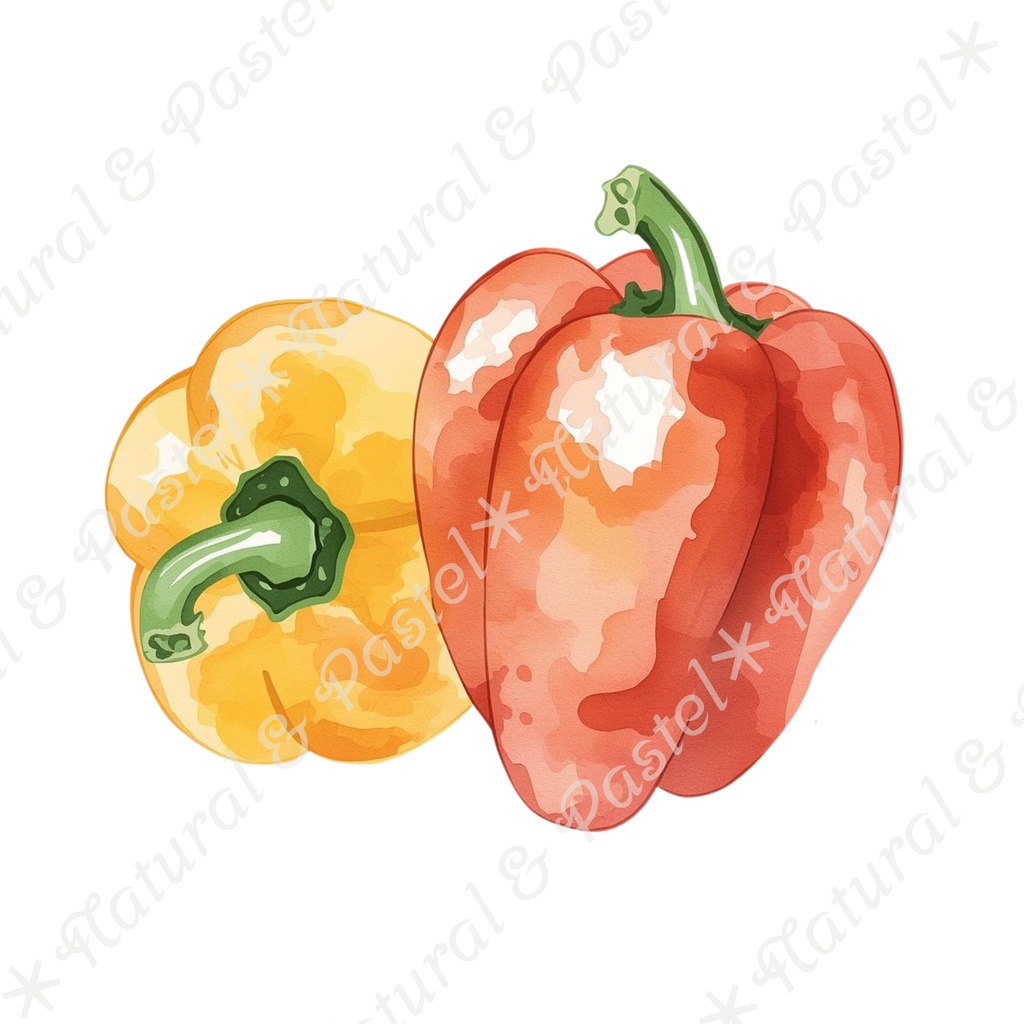 🥕 Watercolor Vegetables Clipart 20 / 水彩野菜イラスト*20点セット(PNG背景透過)