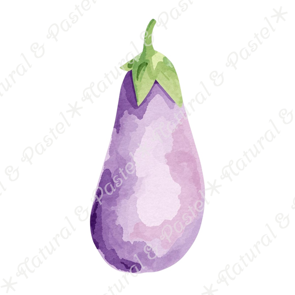 🥕 Watercolor Vegetables Clipart 20 / 水彩野菜イラスト*20点セット(PNG背景透過)