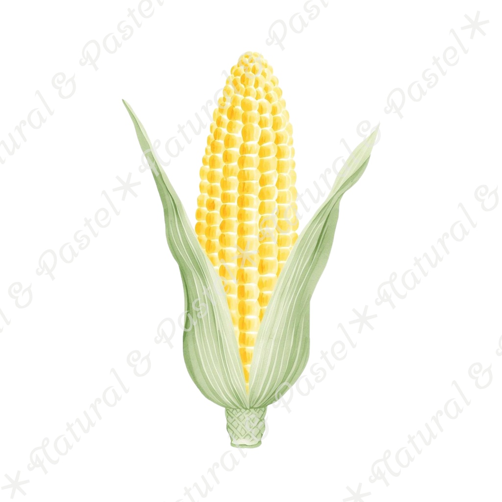 🥕 Watercolor Vegetables Clipart 20 / 水彩野菜イラスト*20点セット(PNG背景透過)