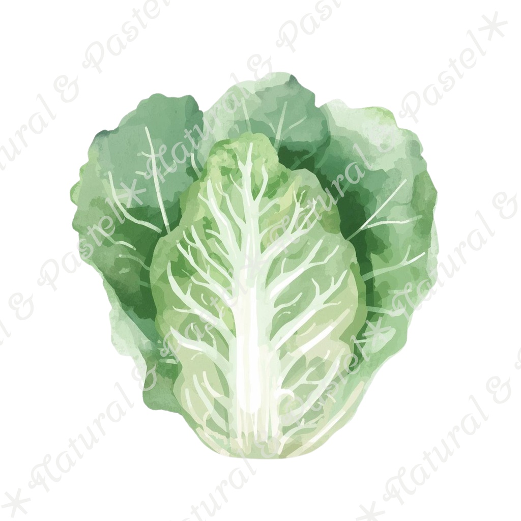 🥕 Watercolor Vegetables Clipart 20 / 水彩野菜イラスト*20点セット(PNG背景透過)