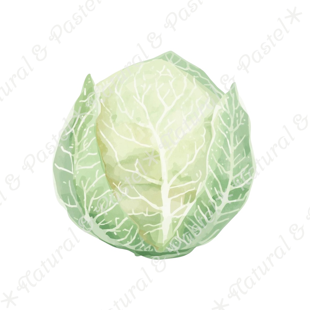 🥕 Watercolor Vegetables Clipart 20 / 水彩野菜イラスト*20点セット(PNG背景透過)