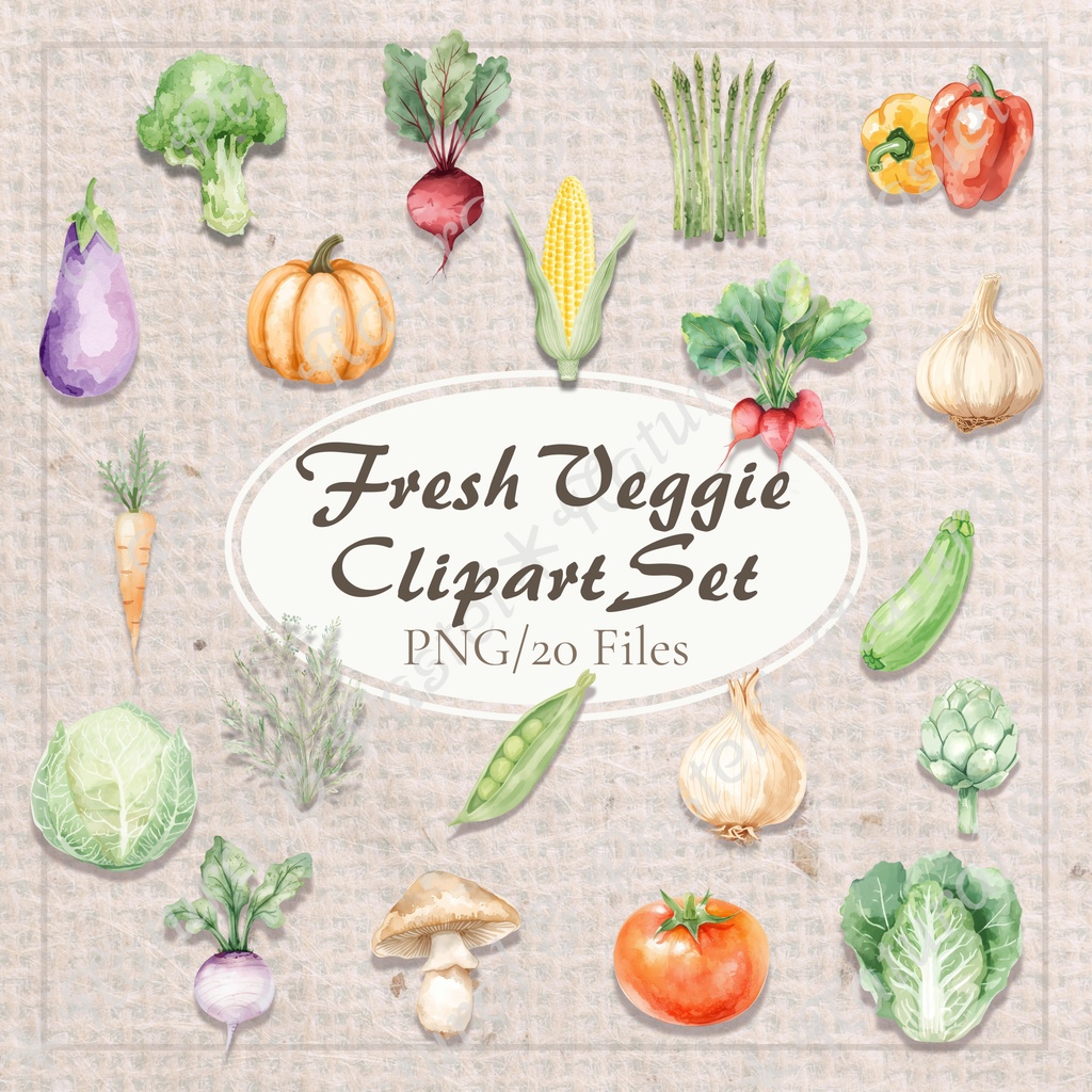 🥕 Watercolor Vegetables Clipart 20 / 水彩野菜イラスト＊20点セット（PNG背景透過）