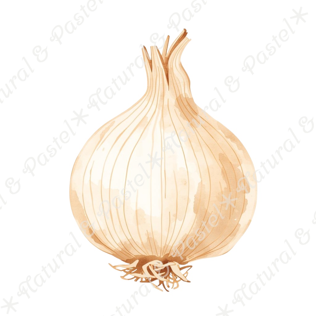 🥕 Watercolor Vegetables Clipart 20 / 水彩野菜イラスト*20点セット(PNG背景透過)