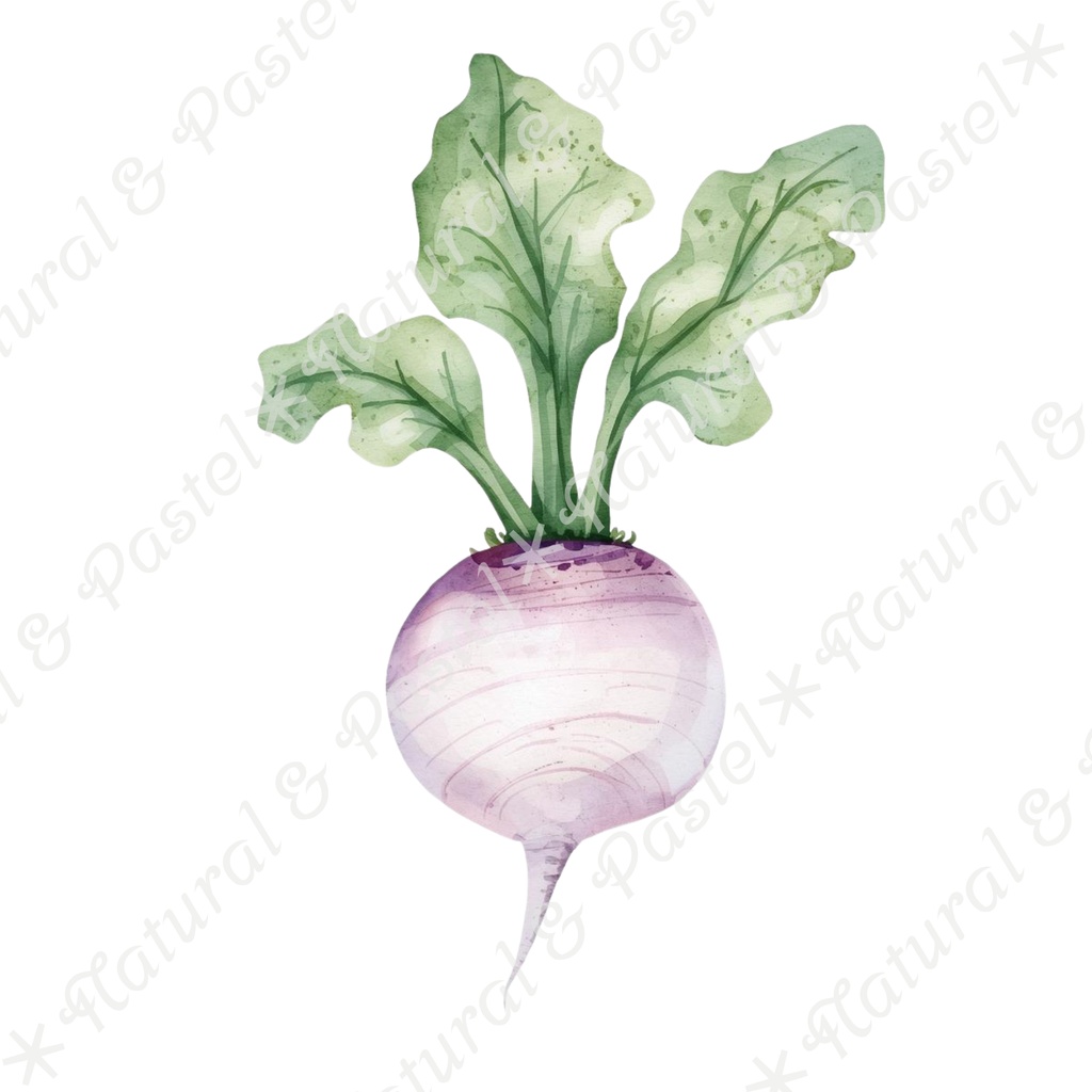 🥕 Watercolor Vegetables Clipart 20 / 水彩野菜イラスト*20点セット(PNG背景透過)