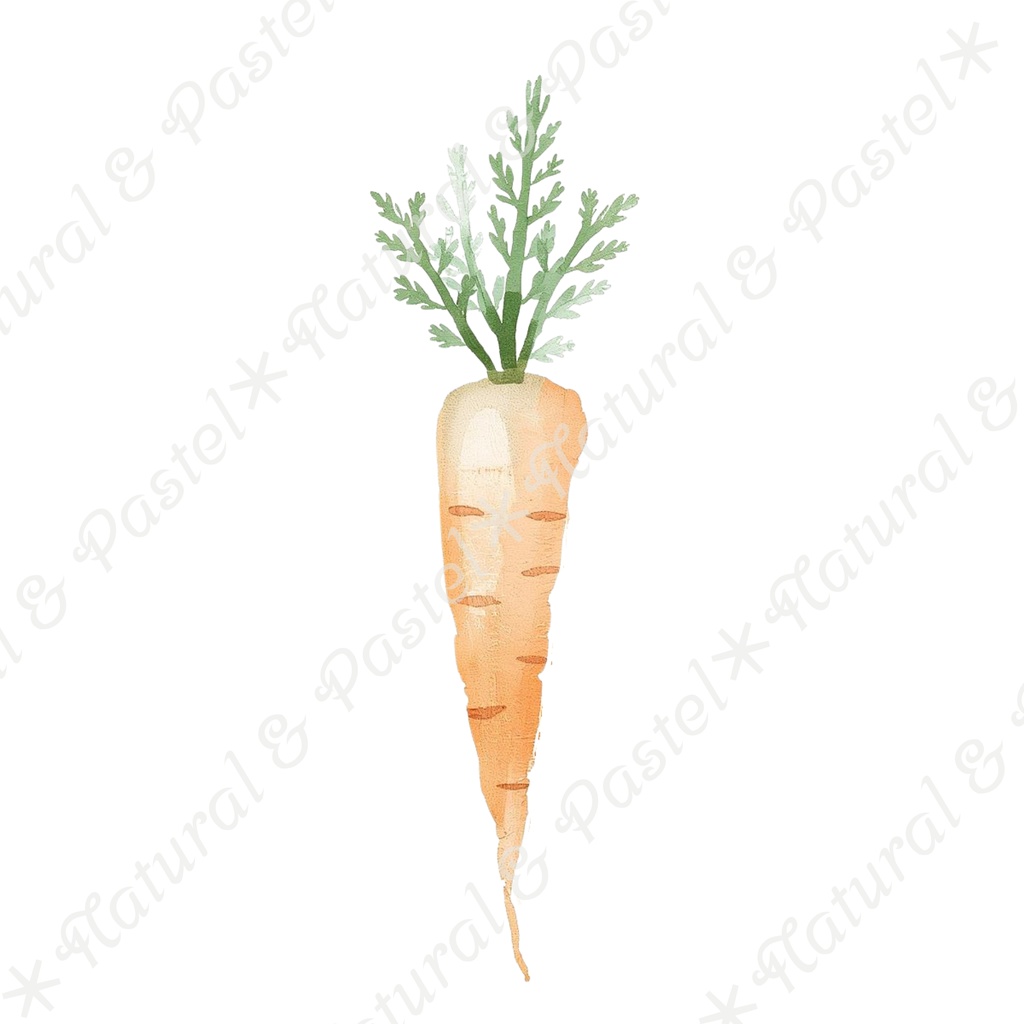🥕 Watercolor Vegetables Clipart 20 / 水彩野菜イラスト*20点セット(PNG背景透過)