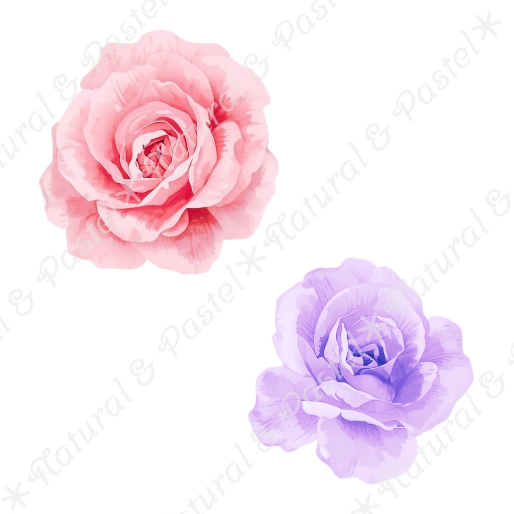 👑【Prima Ballet Atelier】水彩クリップアート*20点セット(PNG背景透過)