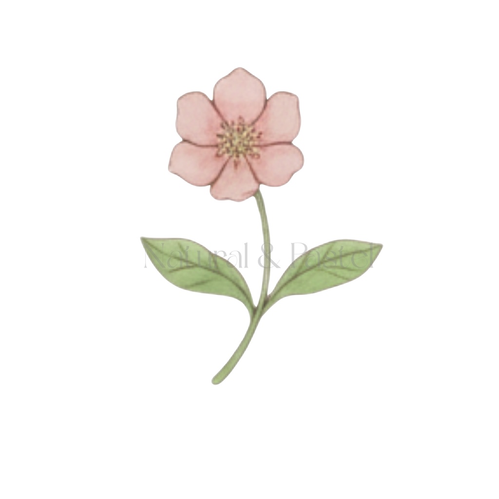 🌸 Daily Girly ClipArt|ガーリー女の子&小物 水彩クリップアート 22点セット(PNG/背景透過)