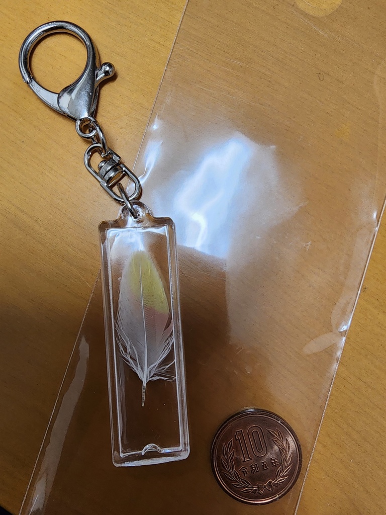 アキクサインコ ルビノー 羽根 キーホルダー A