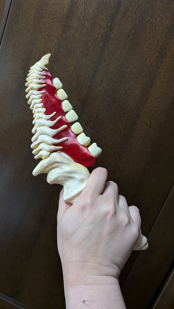 大型骨肉ナイフ