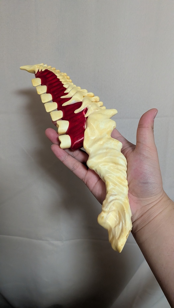 骨肉ナイフ
