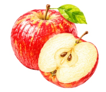 🍎フルーツの素材20点セット🍎
