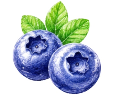 🍎フルーツの素材20点セット🍎