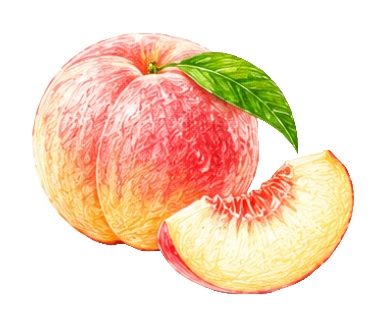 🍎フルーツの素材20点セット🍎