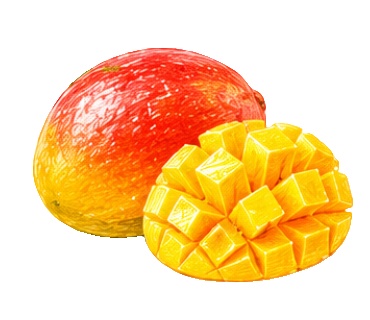 🍎フルーツの素材20点セット🍎