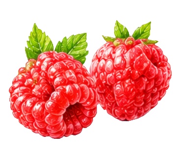 🍎フルーツの素材20点セット🍎