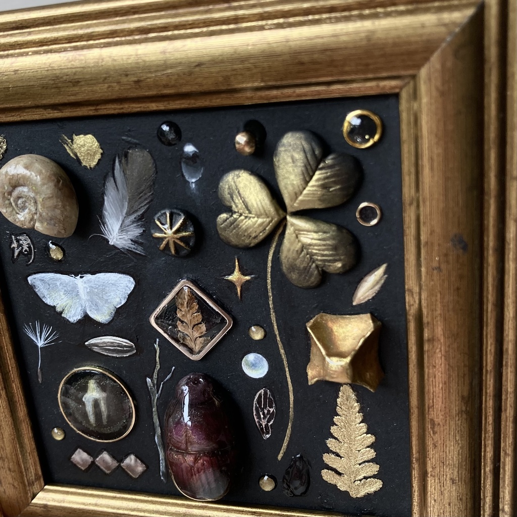 ほしの七光りシリーズ 02