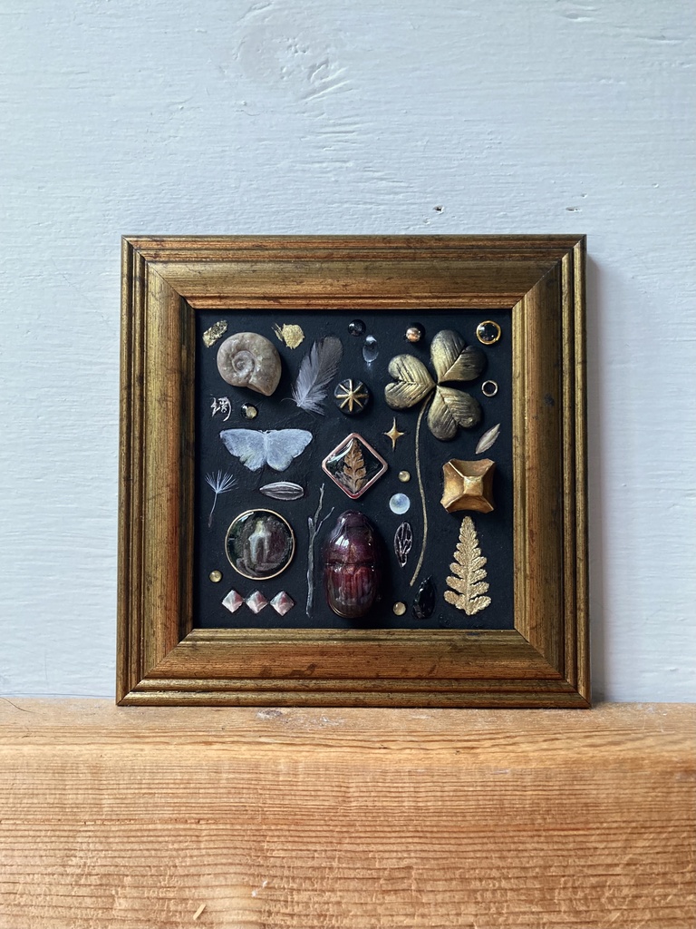 ほしの七光りシリーズ 02