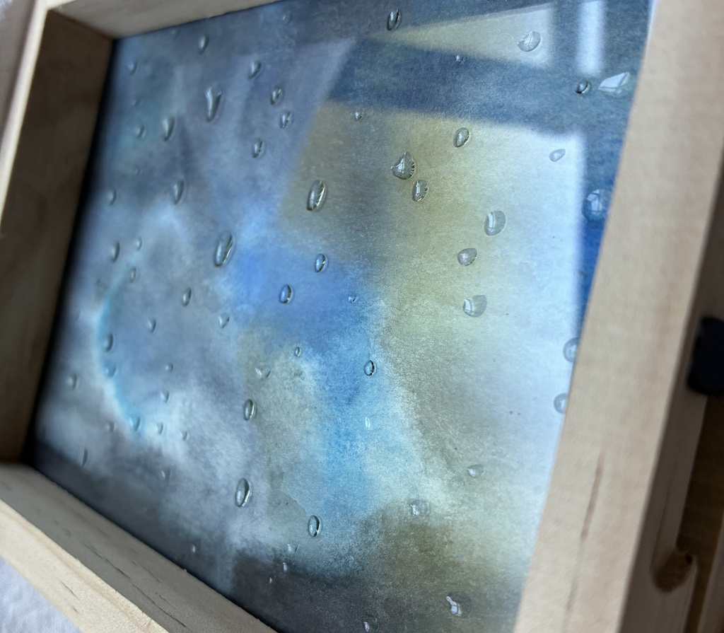 雨が降ったあと