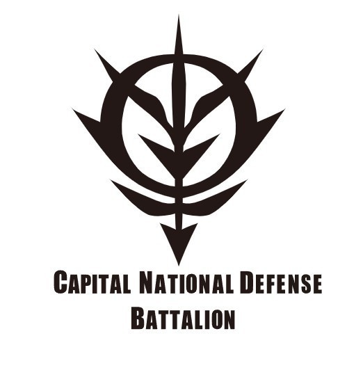 capital national defense battalion