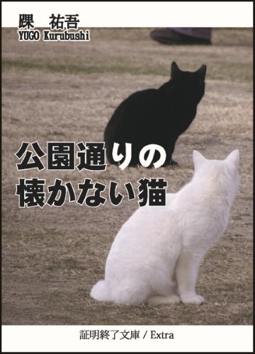 公園通りの懐かない猫
