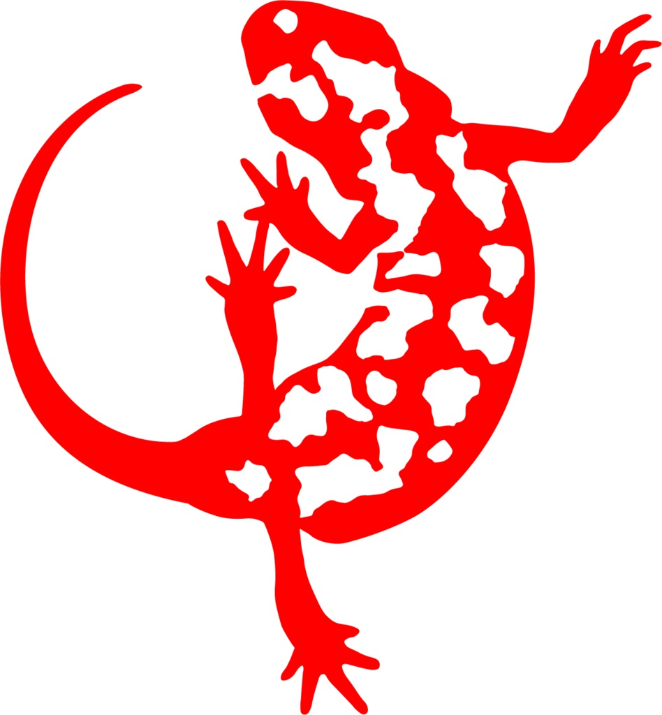 アカハライモリステッカー