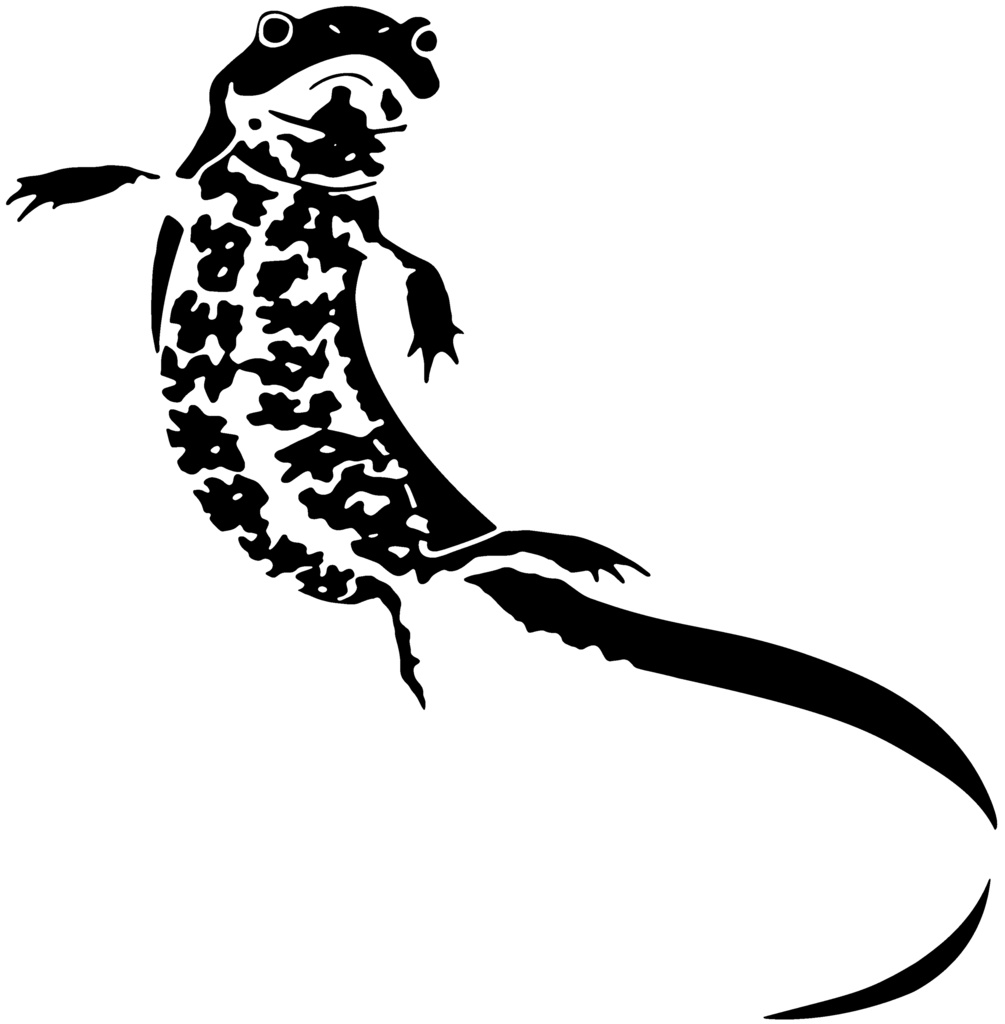 アカハライモリステッカー