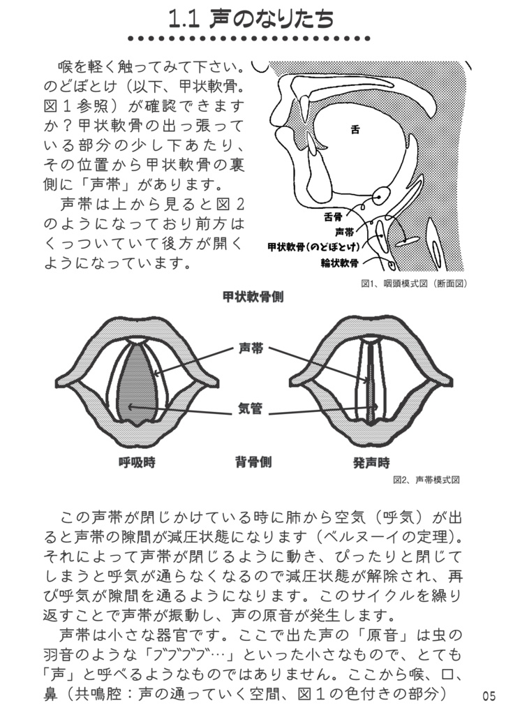 (PDF版)kawaiivoiceを目指す本-改定2.1-