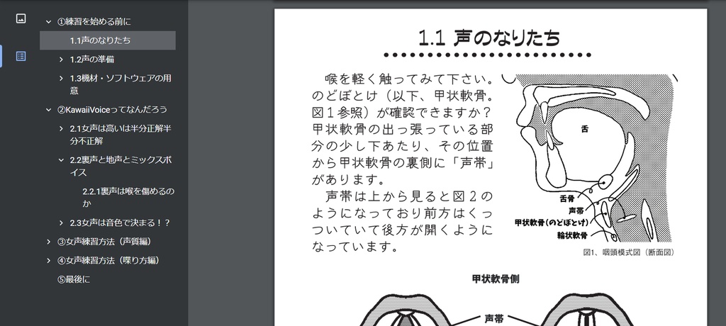 (PDF版)kawaiivoiceを目指す本-改定2.1-