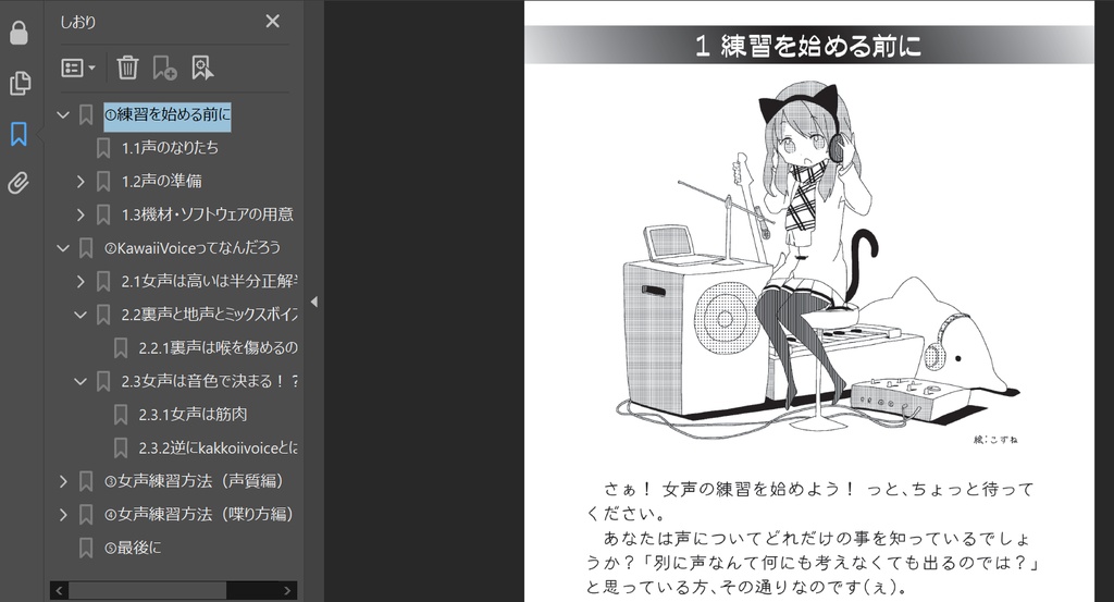 (PDF版)kawaiivoiceを目指す本-改定2.1-
