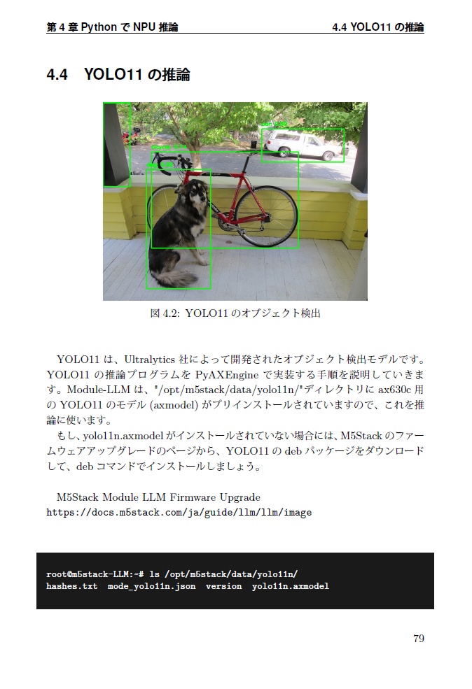 Module-LLM MAniaX【電子書籍版】