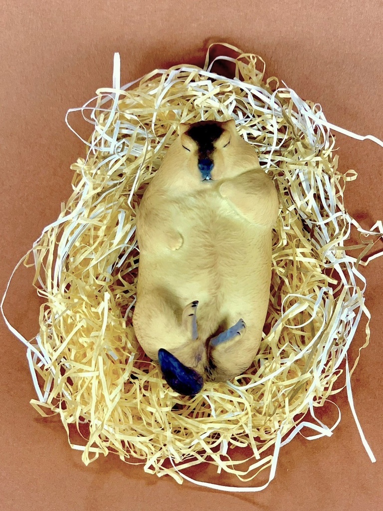 マーモットフィギュア 「すやすや」