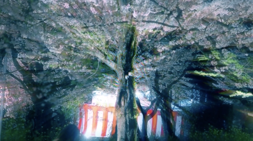 Ambient_Video_footage