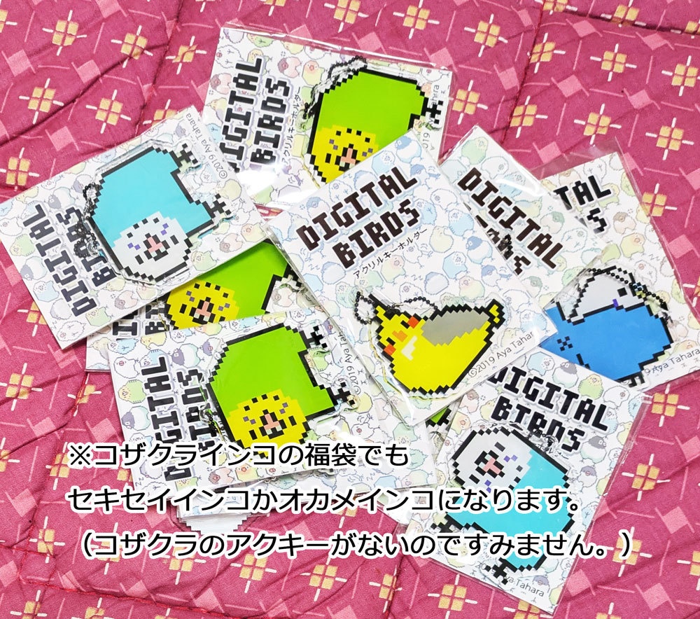 【総額約1万円相当→3,500円福袋!】セキセイインコ Tシャツ2枚+ポーチ+アクキー㉒ ※7000円以上お買い上げプレゼント対象商品