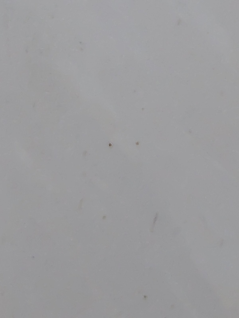 東方project イラスト 原画 古明池こいし ファンアート