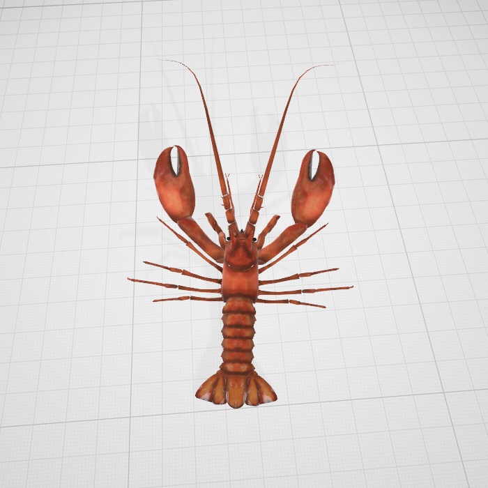 3dモデル ロブスター エビ Blender Aniani0 Booth