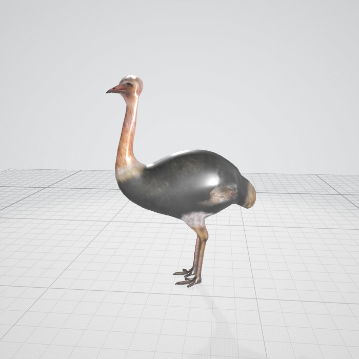 3dモデル ダチョウ 鳥 動物 Blender Aniani0 Booth